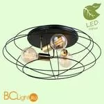 Потолочный светильник Lussole Loft Truman GRLSP-8195
