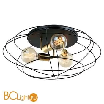 Потолочный светильник Lussole Loft Truman LSP-8195