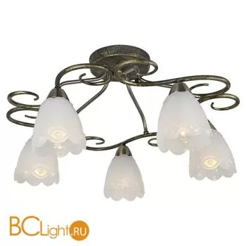 Потолочная люстра Lussole Loft Tulip LSP-0151