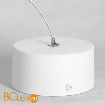 Подвесной светильник Lussole Loft Yorkton LSP-8349 - Фото 1