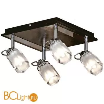 Потолочный светильник Lussole Abruzzi GRLSL-7901-04