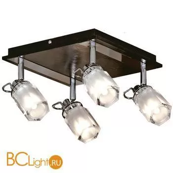 Спот (точечный светильник) Lussole Abruzzi LSL-7901-04