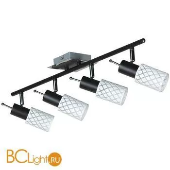 Потолочная люстра Lussole Aggius LSX-5609-04