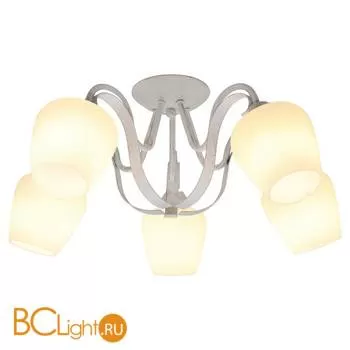 Потолочная люстра Lussole Aina LSP-9909