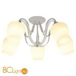 Потолочная люстра Lussole Aina LSP-9909