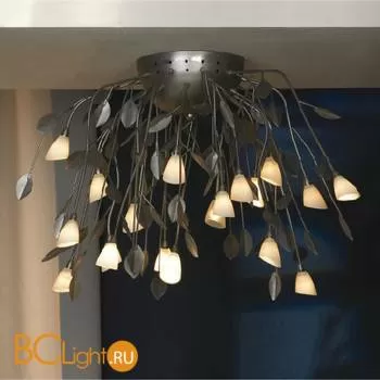 Потолочная люстра Lussole Alloro LSQ-7007-20