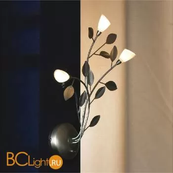 Бра Lussole Alloro LSQ-7001-03