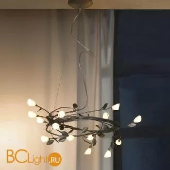 Люстра Lussole Alloro LSQ-7003-14 - Фото 0