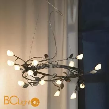 Люстра Lussole Alloro LSQ-7003-14