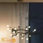 Люстра Lussole Alloro LSQ-7003-14 - Фото 0