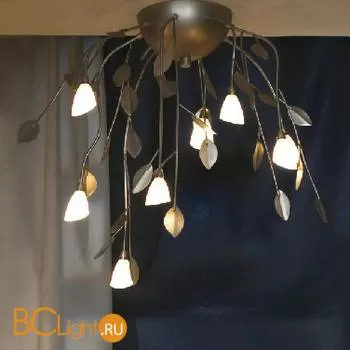 Потолочная люстра Lussole Alloro LSQ-7007-08