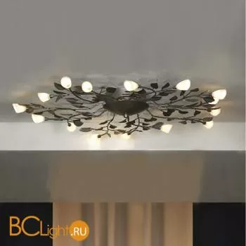 Потолочная люстра Lussole Alloro LSQ-7007-15