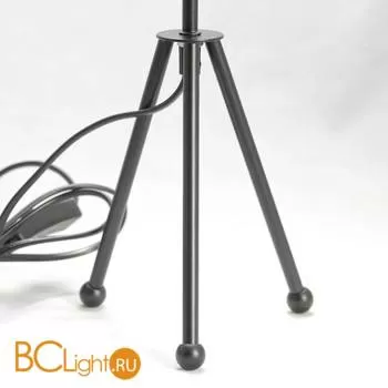 Настольная лампа Lussole Amistad LSP-0536 - Фото 1