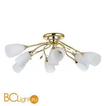 Потолочная люстра Lussole Arcole LSA-7203-09