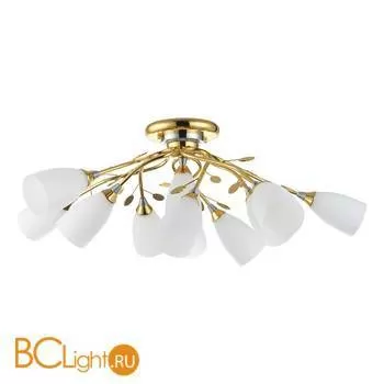 Потолочная люстра Lussole Arcole LSA-7203-11