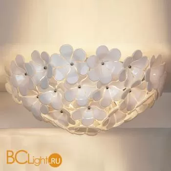 Потолочный светильник Lussole Asinara GRLSA-5107-05