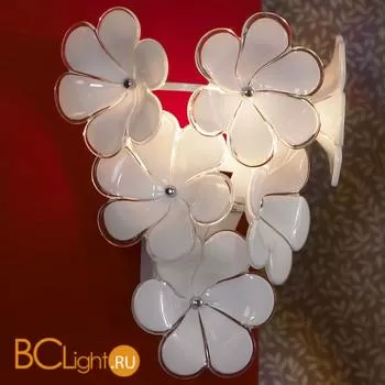 Бра Lussole Asinara LSA-5101-01 - Фото 0