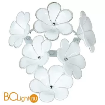 Бра Lussole Asinara LSA-5101-01