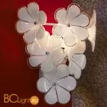 Бра Lussole Asinara LSA-5101-01 - Фото 0