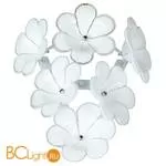 Бра Lussole Asinara LSA-5101-01