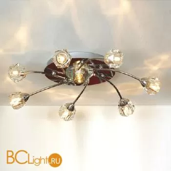 Потолочная люстра Lussole Atripalda LSQ-2007-08