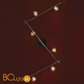 Настенно-потолочный светильник Lussole Atripalda LSQ-2009-06