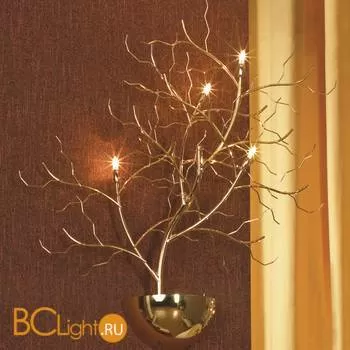 Бра Lussole Autunnale LSQ-9011-04