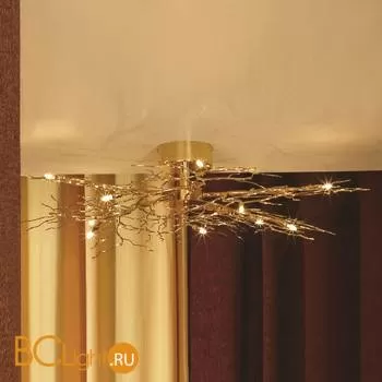 Потолочная люстра Lussole Autunnale LSQ-9017-10