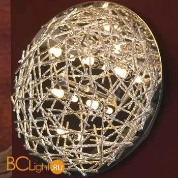 Настенно-потолочный светильник Lussole Avacelli LSQ-0602-06