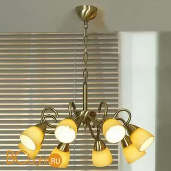 Люстра Lussole Aviano LSQ-8403-08