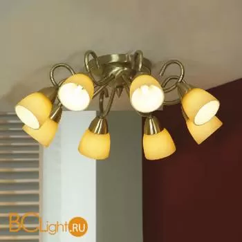 Потолочная люстра Lussole Aviano LSQ-8407-08