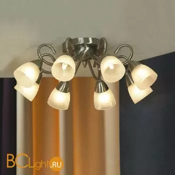 Потолочная люстра Lussole Aviano LSQ-8497-08