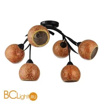 Потолочная люстра Lussole Bagheria GRLSF-6213-06