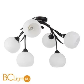 Потолочная люстра Lussole Bagheria GRLSF-6283-06