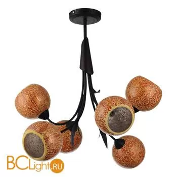 Потолочная люстра Lussole Bagheria LSF-6203-06