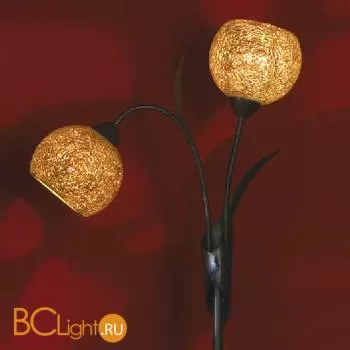 Торшер Lussole Bagheria LSF-6205-02