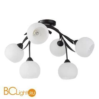 Потолочная люстра Lussole Bagheria LSF-6283-06
