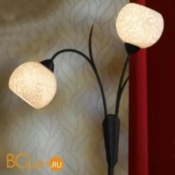 Торшер Lussole Bagheria LSF-6295-02