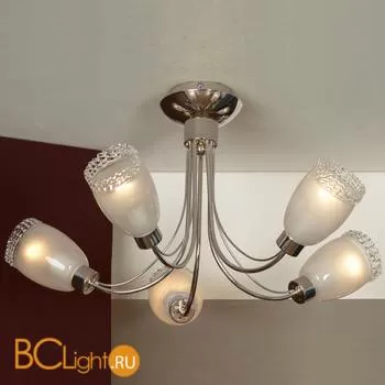 Потолочная люстра Lussole Bareggio LSL-3203-05