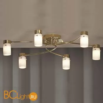 Потолочная люстра Lussole Bari LSQ-9217-06