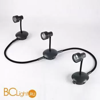 Спот Lussole Bay Shore LSP-9821-03