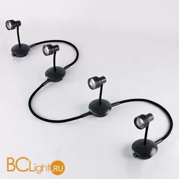 Спот Lussole Bay Shore LSP-9821-04