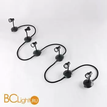 Спот Lussole Bay Shore LSP-9821-06