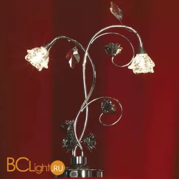 Настольная лампа Lussole Bellegra LSA-4304-02