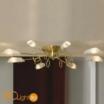 Потолочная люстра Lussole Belluno LSF-6903-08