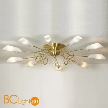 Потолочная люстра Lussole Belluno LSF-6903-10