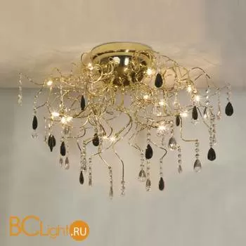 Потолочный светильник Lussole Benevento LSC-2913-15