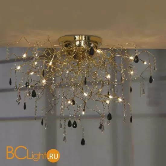 Потолочный светильник Lussole Benevento LSC-2913-19