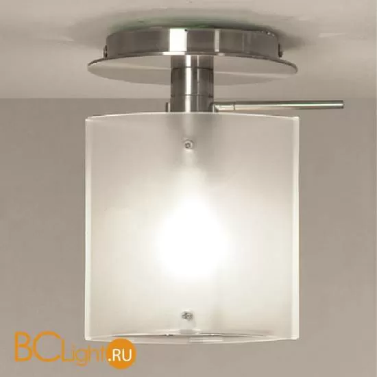 Настенно-потолочный светильник Lussole Biscaccia LSX-2707-01