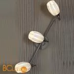 Спот (точечный светильник) Lussole Brindisi LSX-6701-03